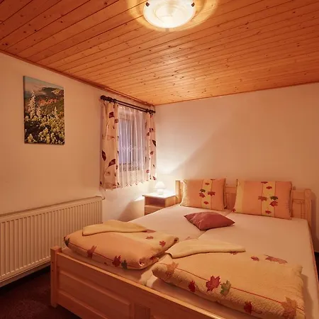 Flora Penzion Janské Lázně